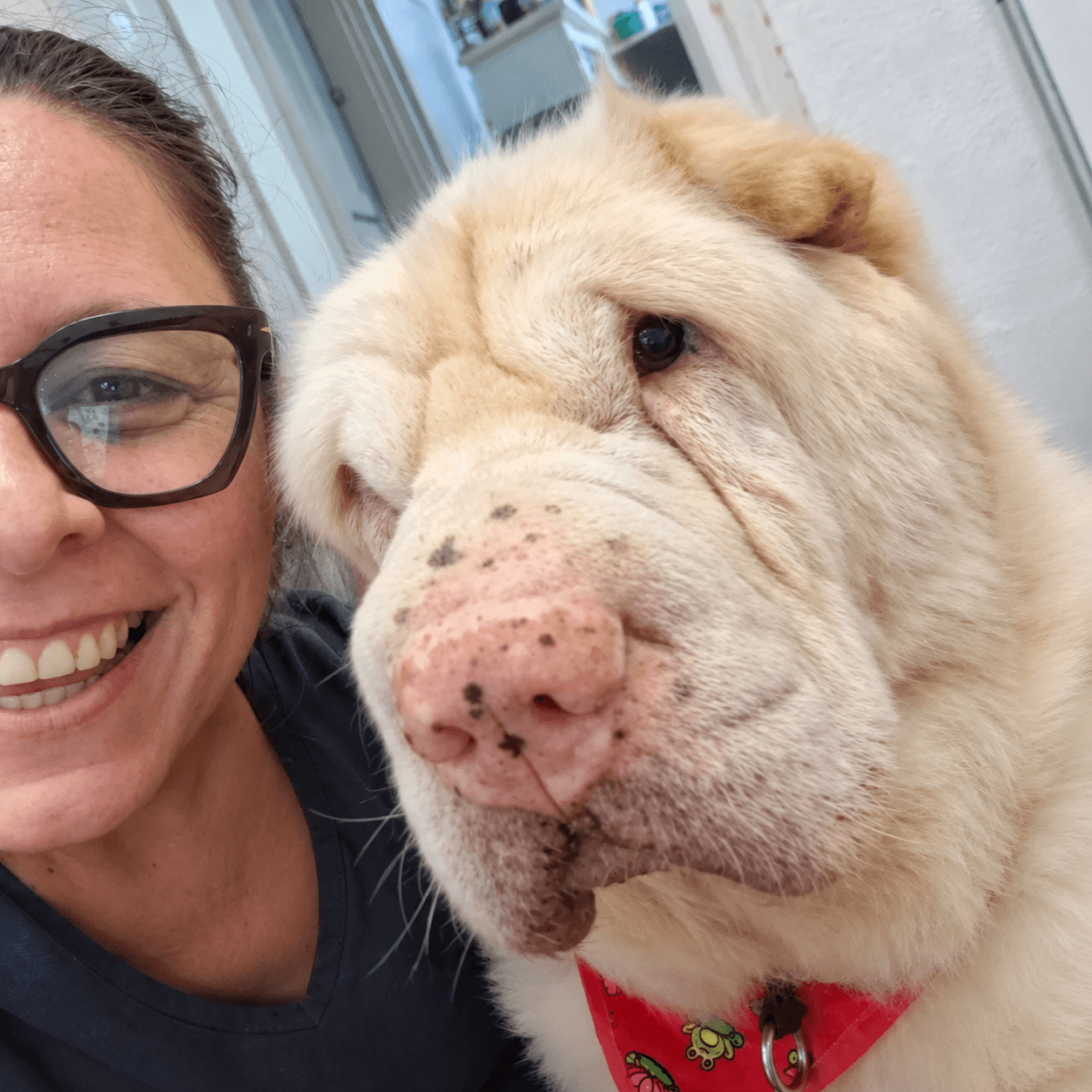 Tia Nena sorrindo ao lado do Buda, um cão sharpei de focinho enrugado